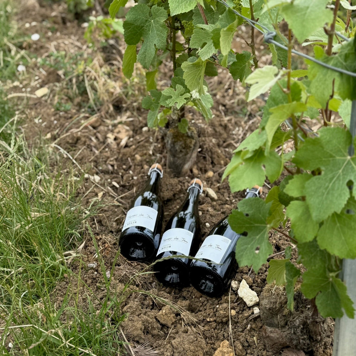 3 flasker champage fra Champagne