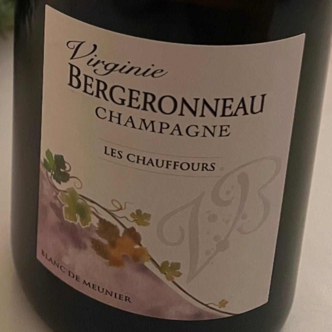 Virginie Bergeronneau, Chaufförerna