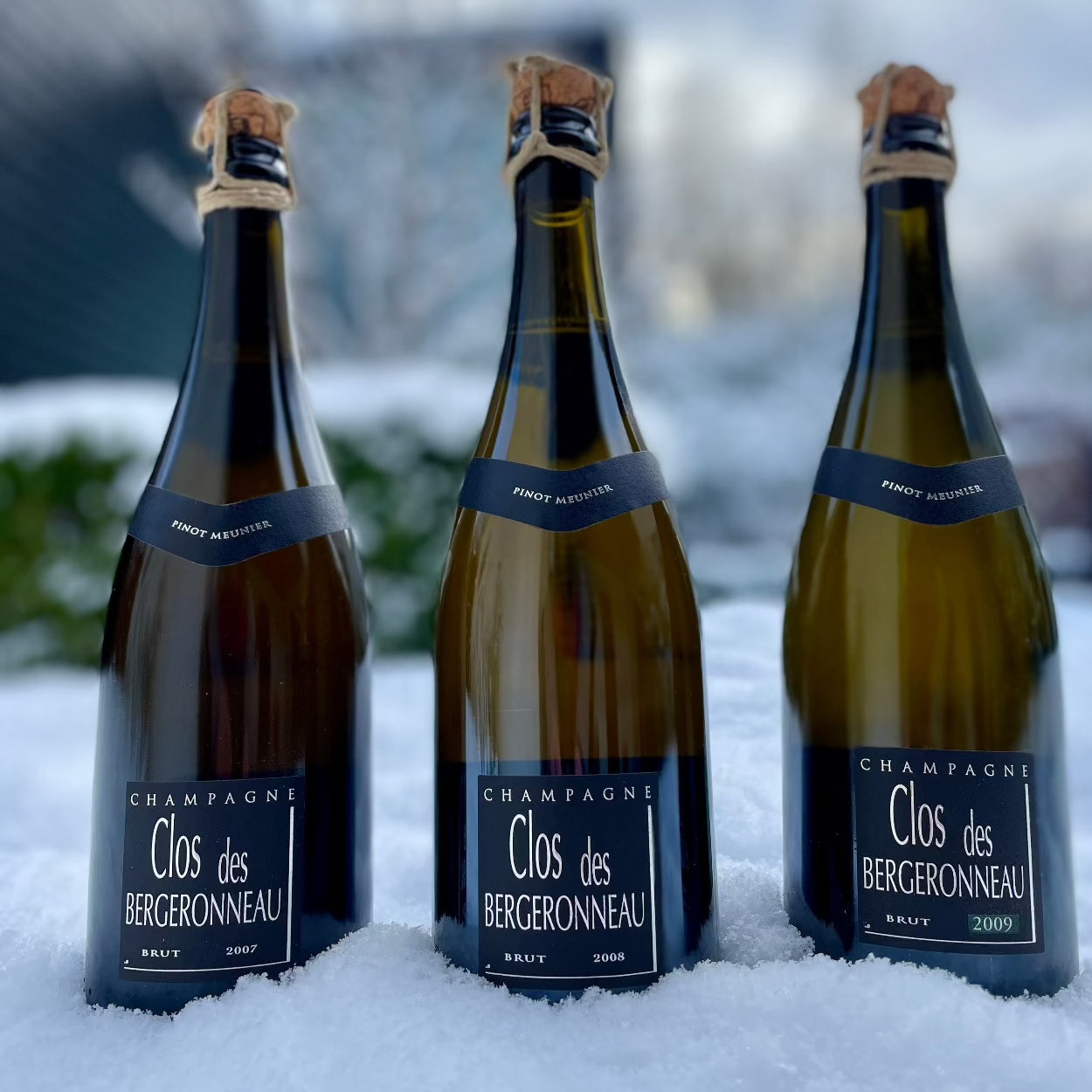 3 champagne flasker, Champagne F. Bergeronneau-Marion, Clos des Bergeronneau, brut, 2007, 2008, 2009, Premier Cru, Pinot Meunier, lukket med snor om korkprop, står udenfor i sne