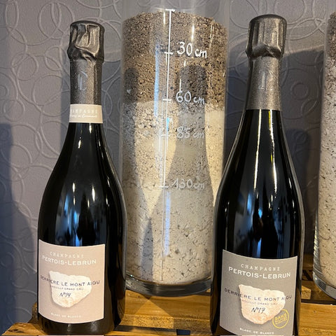 Champagnemiddag i Köpenhamn 28 maj