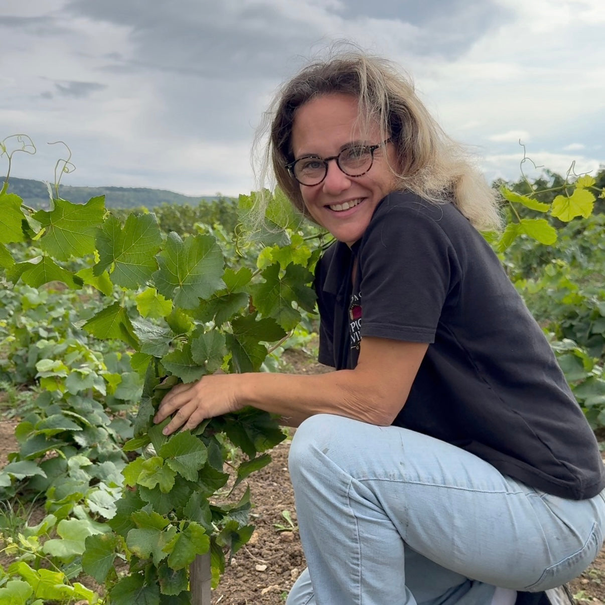 Provlåda - 3 x Female Grower