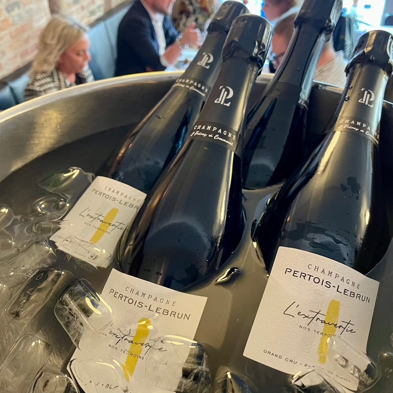 4 flasker champagne i bowle med isvand, Champagne Pertois-Lebrun, L'Extravertie, Grand Cru, Blanc de Blancs