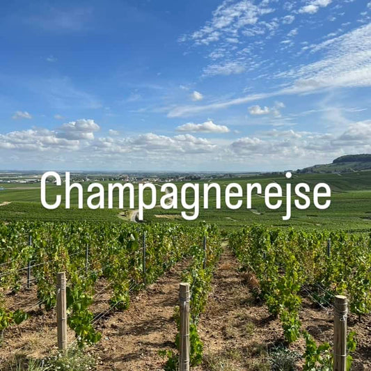 Champagneresa 2025